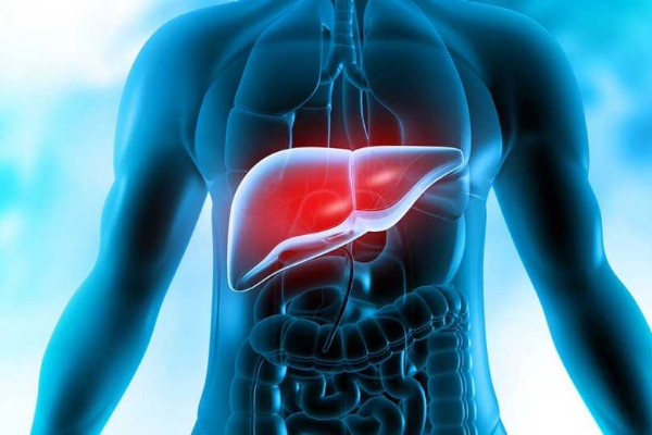  5 Warning Signs Your Liver is Struggling (and How to Reverse It)
