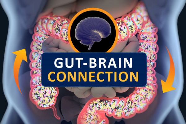 The Gut-Brain Connection: How Your Digestive Health Affects Stress, Anxiety, Sleep, and Overall Well-Being