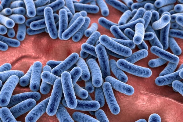  Understanding Small Intestinal Bacterial Overgrowth (SIBO): Symptoms, Causes & Treatment